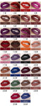 30 Color Matte Liquid Lipstick - Vianchi Natural Glam