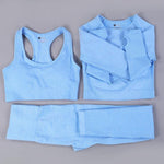 7 Colors GYMS Seamless Yoga Set - Vianchi Natural Glam