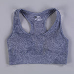 7 Colors GYMS Seamless Yoga Set - Vianchi Natural Glam