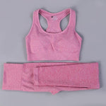 7 Colors GYMS Seamless Yoga Set - Vianchi Natural Glam