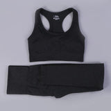 7 Colors GYMS Seamless Yoga Set - Vianchi Natural Glam