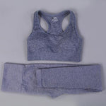7 Colors GYMS Seamless Yoga Set - Vianchi Natural Glam