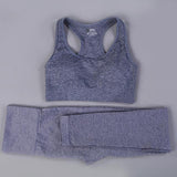 7 Colors GYMS Seamless Yoga Set - Vianchi Natural Glam
