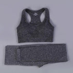 7 Colors GYMS Seamless Yoga Set - Vianchi Natural Glam