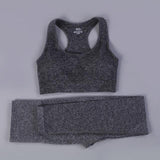 7 Colors GYMS Seamless Yoga Set - Vianchi Natural Glam