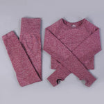 7 Colors GYMS Seamless Yoga Set - Vianchi Natural Glam