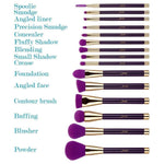 15pcs Blue/Purple Powder Eyeshadow Eyeliner - Vianchi Natural Glam