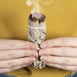 1PCS White Sage Bundle Smudge Stick - Vianchi Natural Glam