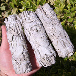 1PCS White Sage Bundle Smudge Stick - Vianchi Natural Glam