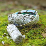 1PCS White Sage Bundle Smudge Stick - Vianchi Natural Glam