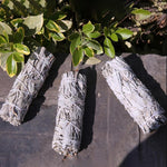1PCS White Sage Bundle Smudge Stick - Vianchi Natural Glam