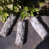1PCS White Sage Bundle Smudge Stick - Vianchi Natural Glam