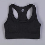 7 Colors GYMS Seamless Yoga Set - Vianchi Natural Glam